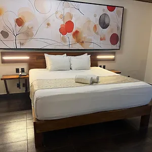 4* Szálloda Kavia 5th Avenida (adults Only)